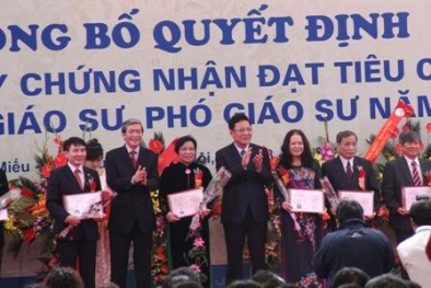 Gặp Giáo sư trẻ nhất Việt Nam năm 2013
